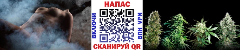 Шишки марихуана семена Светогорск